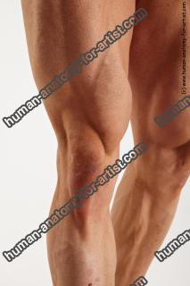 Bodybuilding reference poses of Alberto